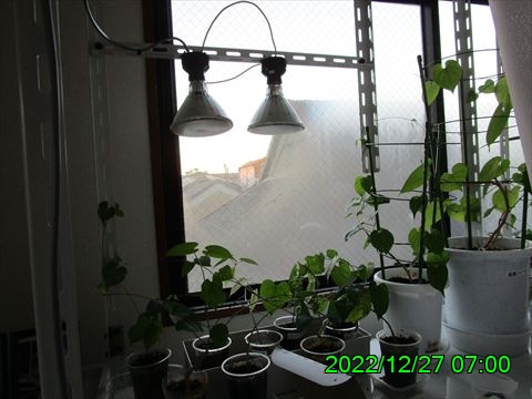 西田利の日記