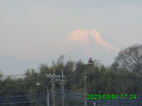 西田利の日記