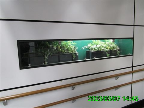 西田利の日記