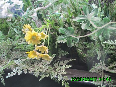 西田利の日記