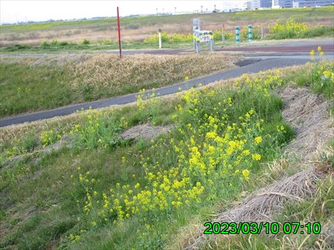 西田利の日記