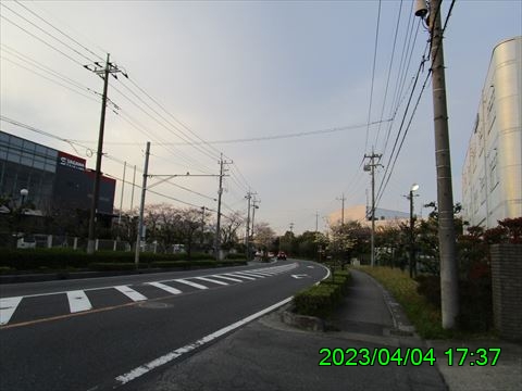 西田利の日記
