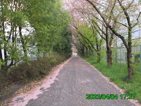 西田利の日記