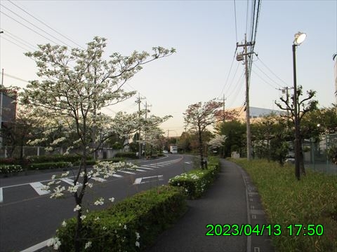 西田利の日記