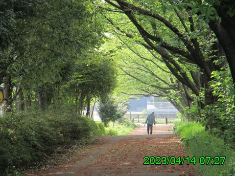 西田利の日記