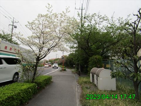 西田利の日記