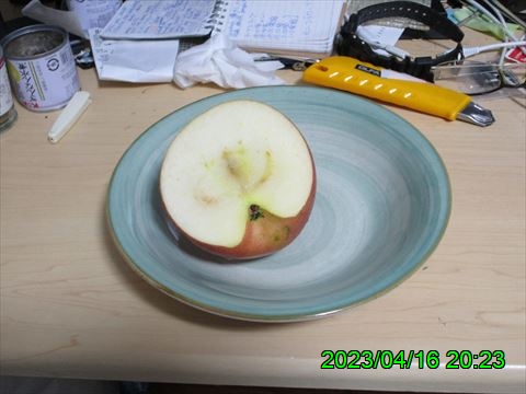 西田利の日記