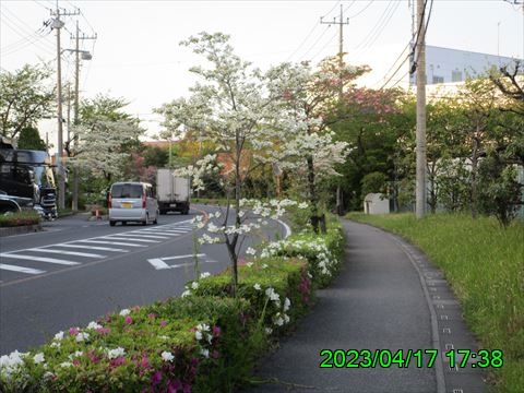 西田利の日記