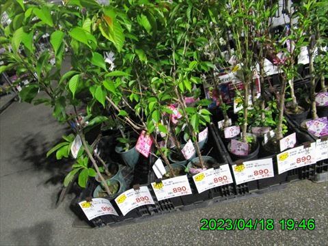 西田利の日記