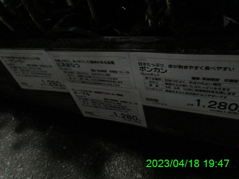 西田利の日記