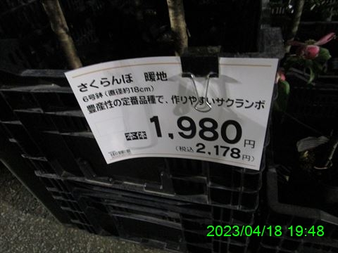 西田利の日記