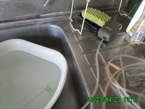 西田利の日記