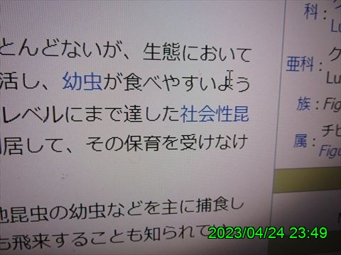 西田利の日記