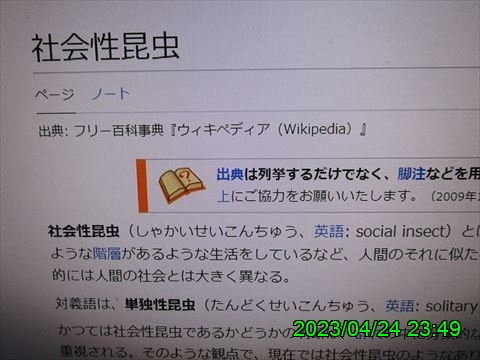 西田利の日記