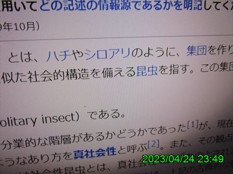 西田利の日記