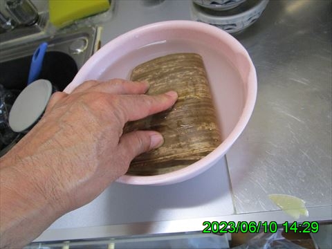 西田利の日記