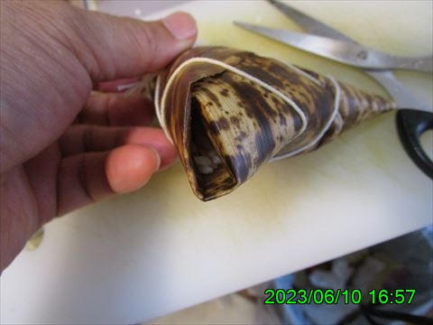 西田利の日記