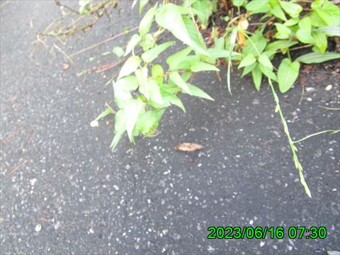 西田利の日記