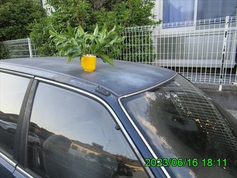 西田利の日記