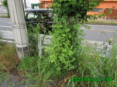 西田利の日記