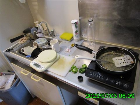 西田利の日記