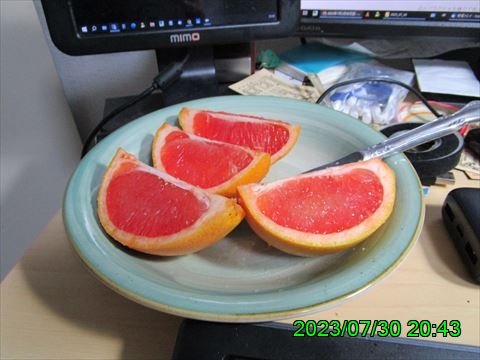 西田利の日記