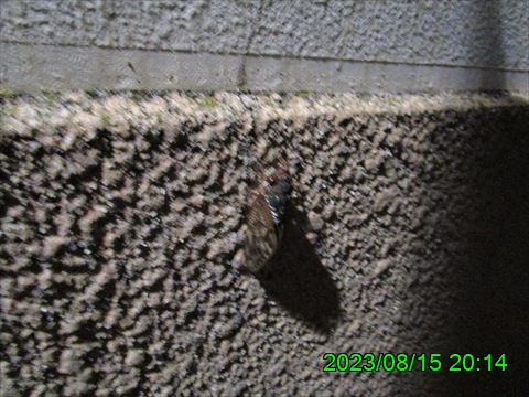西田利の日記