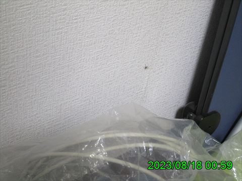 西田利の日記