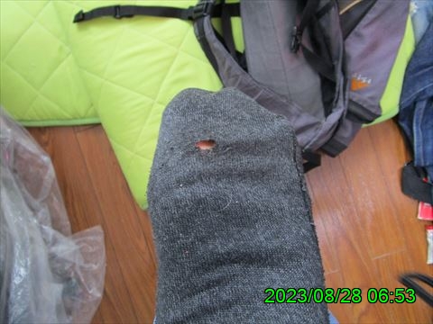 西田利の日記
