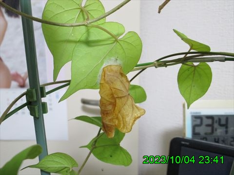 西田利の日記