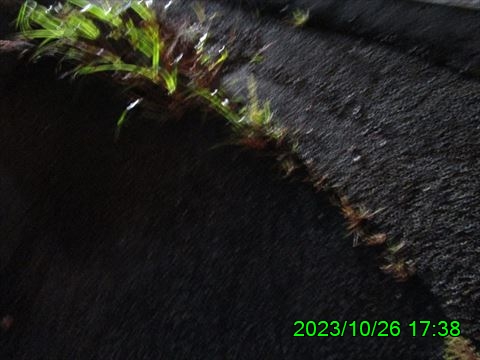 西田利の日記