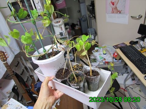 西田利の日記
