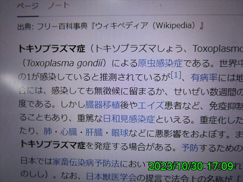 西田利の日記