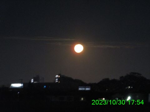 西田利の日記