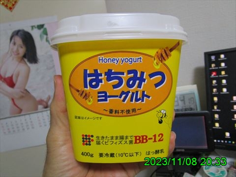 西田利の日記