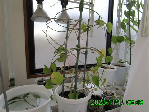 西田利の日記