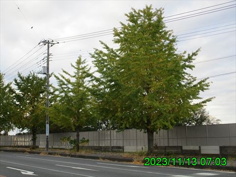 西田利の日記