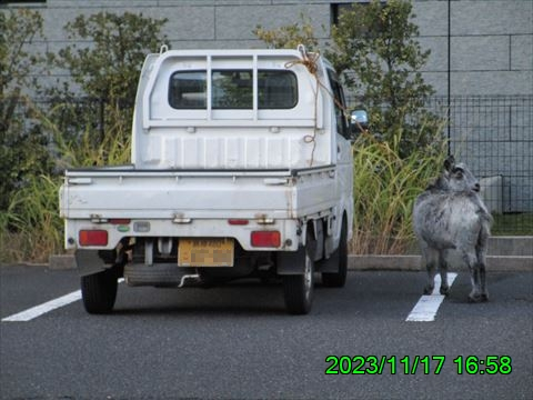 西田利の日記