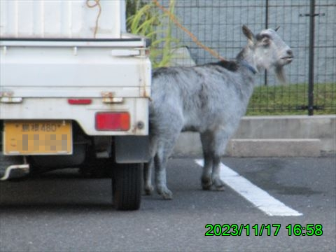 西田利の日記