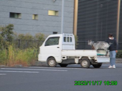 西田利の日記