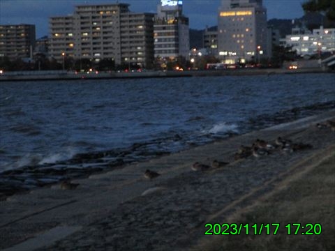 西田利の日記