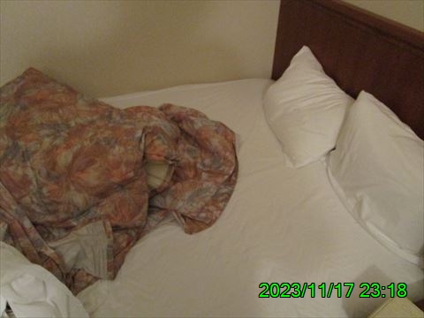 西田利の日記