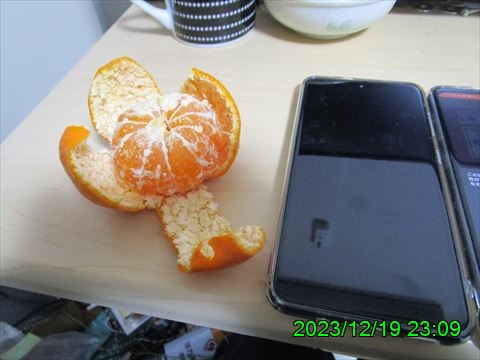 西田利の日記