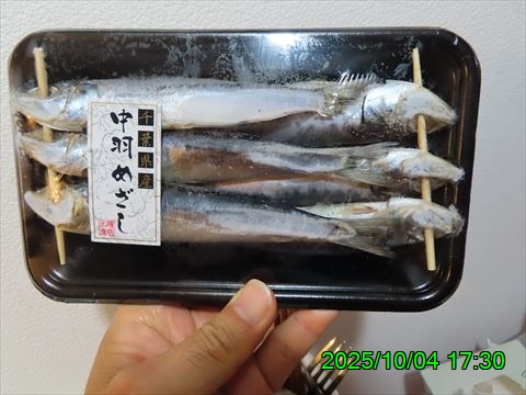 西田利の日記